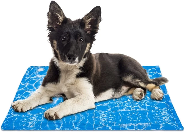 Pet Cooling Mat Water Injection Dog Cooling Mat Portable Pet Cooling Pad