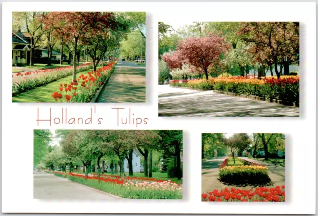 Holland Michigan Tulip Time Flowers Festival Dutch MI USA Vintage Postcard