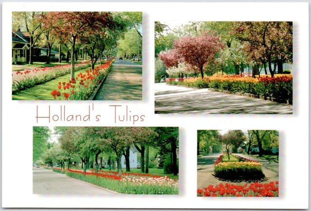 Holland Michigan Tulip Time Flowers Festival Dutch MI USA Vintage Postcard