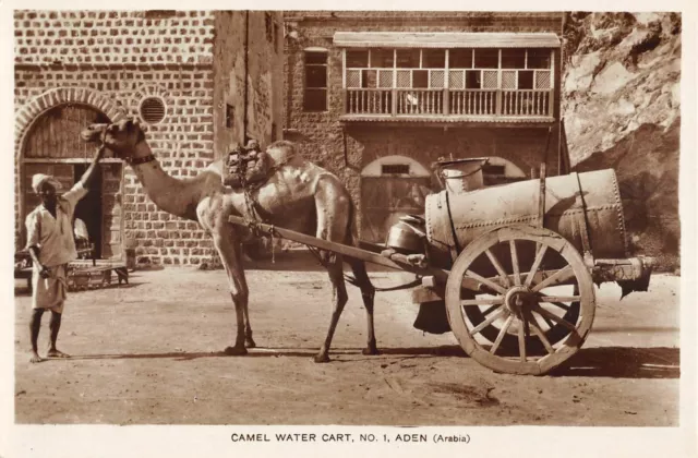 Cpa Arabia Yemen Aden Camel Water Cart