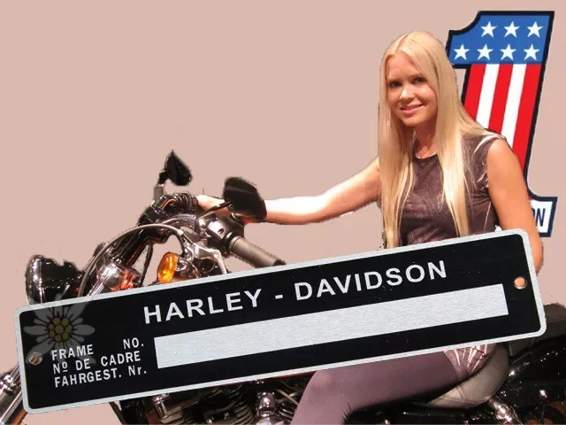 Harley Davidson Data PLATE Typenschild DATA Plate TAG Generic Europe engraving