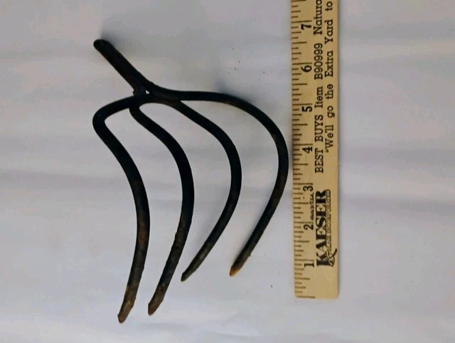 Gorilla Wear MODESTO - Short - Black/noir