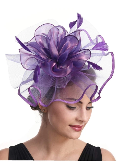 Fascinator Womens Organza Church Kentucky Derby British Bridal Tea Party