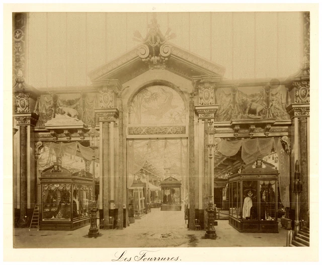Tirage Albuminé Ancien Tourrettes-sur-Loup – Cueillette De Violettes – Circa 1880