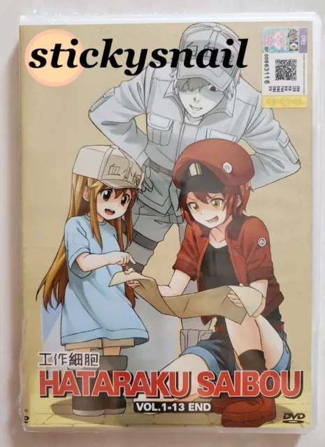 DVD】Hataraku Saibou: Cell At Work Special [Eng Sub]