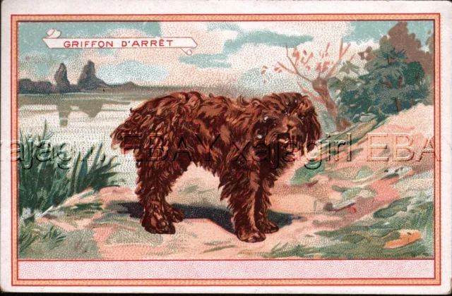 DOG Griffon Fauve de Bretagne Victorian Advertising Trade Card Trading, French