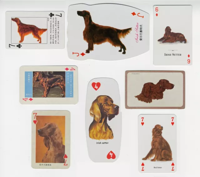 Irish Setter Collection Of Single Collectable Novelty Dog Playing Cards