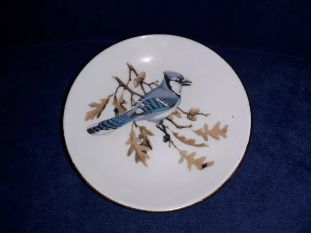 vintage crown staffordshire blue jay bird butter pat or trinket dish