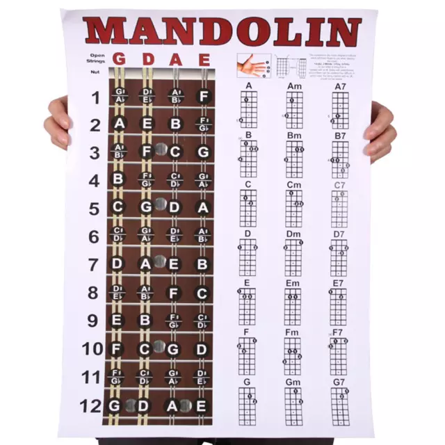 Mandolinenakkorde Diagramm Poster Referenzhandbuch zur Verbesserung der Mandolinentechnik