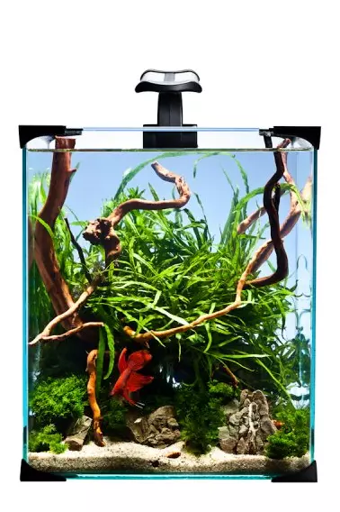 Aquariums Set Nano LED 20l 5,7W Aquarium Set Complet Filtre Chauffage Éclairage