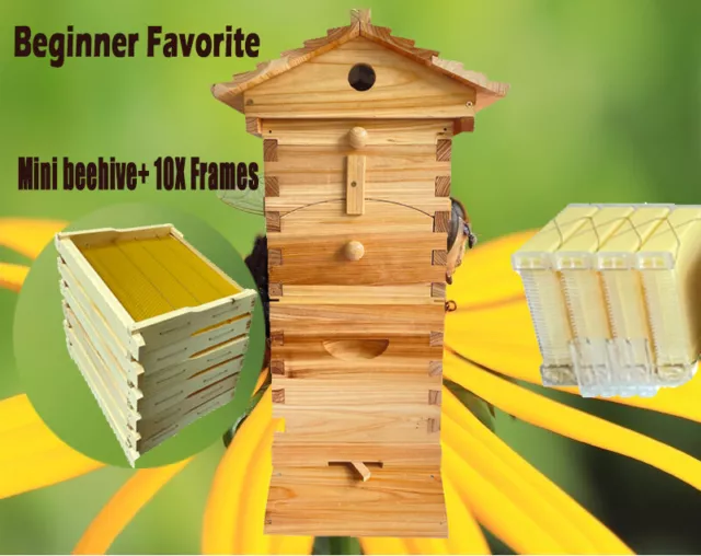 Mini 10X Frames Honey Flowing Auto Beehive House Wooden Bee Hive Beekeeping Tool