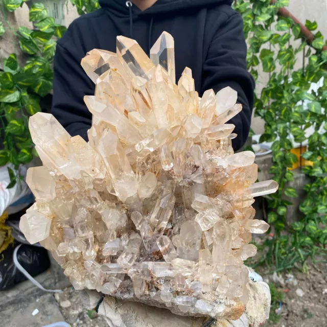 22.9lb Large Natural Clear White Quartz Crystal Cluster Rough Healing Specimen