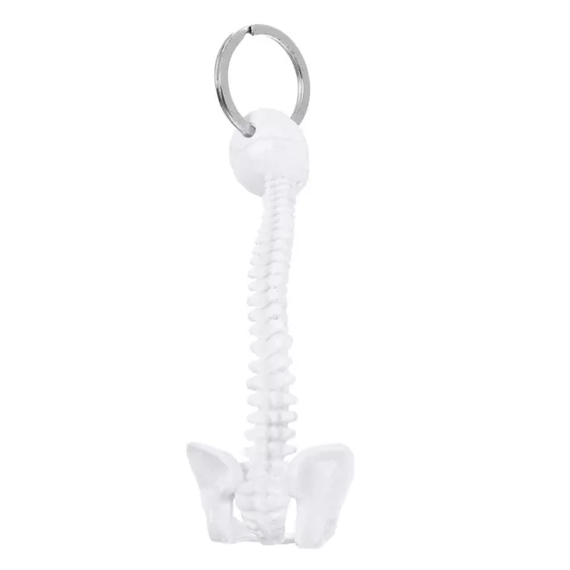Halloween-Schlüsselanhänger Geschenke Wirbelsäule Skelettmodell