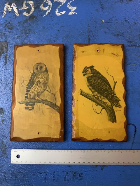 2 Small MCM Vintage E. Rambow Owl Art Prints Mounted on Wood Boards