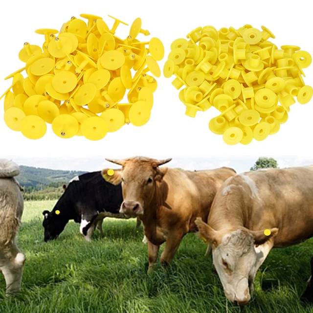 100pcs Animal Ear Tag Plastic Identification Card Anti Lost Marker For Farm Uts
