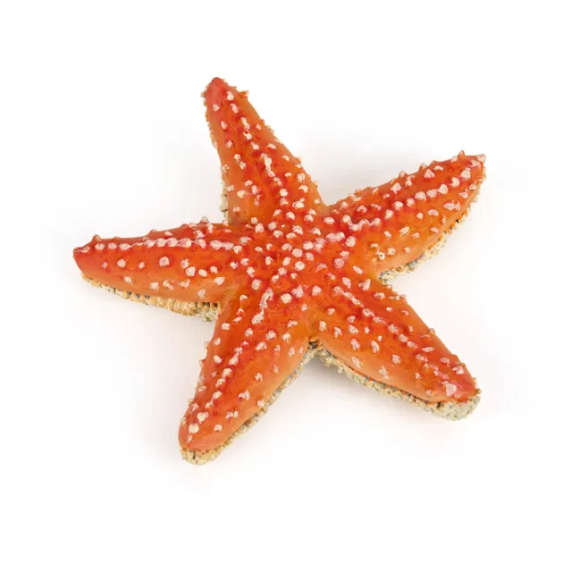 PAPO Marine Life Starfish Toy Figure, Orange (56050)