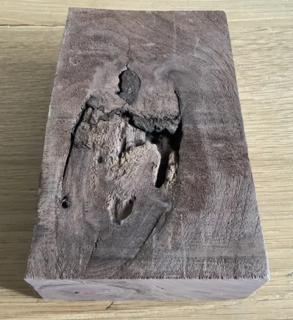 Walnut Hardwood Timber Knotty Offcut 19.5 x 11.5 x 5cm - Wood DIY Crafts 957i