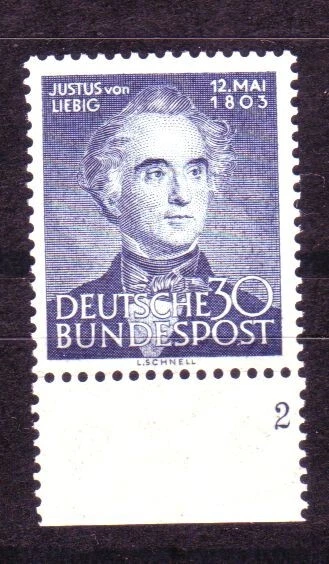 Bund 166 ** - postfrisch - Marke vom Unterrand mit Formnr. 2