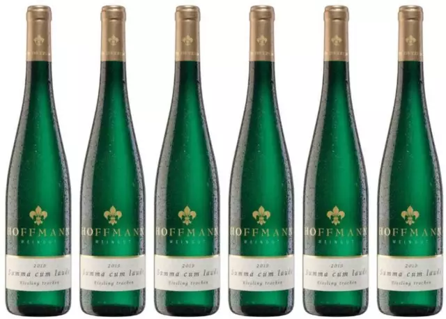 6x Riesling "Summa cum laude", 2019 - Weingut Rudolf Hoffmann, Mosel! Wein