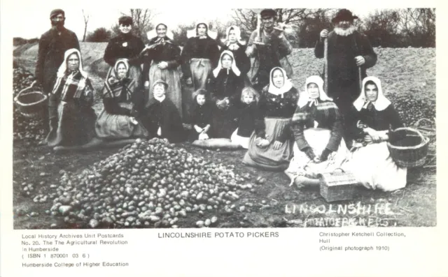 s18472 Potato Pickers 1910 REPRO  Lincolnshire England postcard