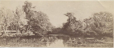 Original Vintage Albumen Photo Of Beautiful Large Pond   Forest W/ Information