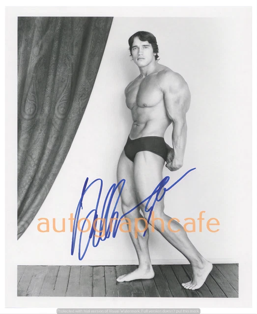 ARNOLD SCHWARZENEGGER 10 x 8 Inch Signed Photo - High Quality Copy (a)
