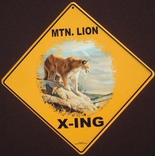 MTN. LION X-ING Sign 16 1/2 by 16 1/2 NEW cougar decor cats panther painting