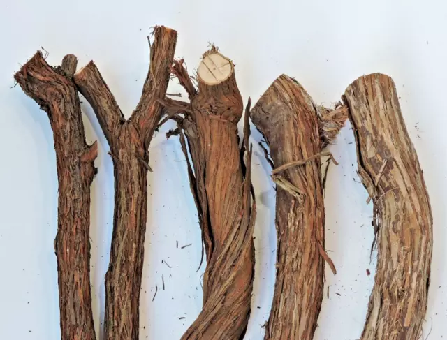 5 Grapevine Wood Section Stick Decor Crafts Supplies 1~1 3/4"D 12~16"L