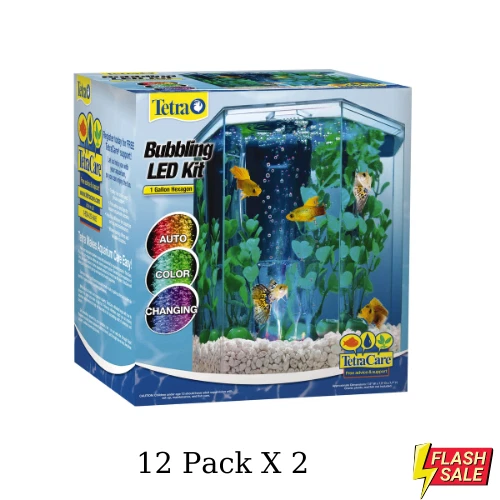 Aquarium Kit LED Lighting Internal Filter 1-Gallon Home Office Desk Betta Tank