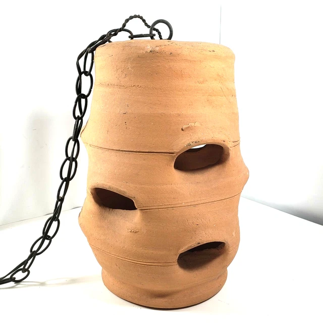 HEWELL TERRA-COTTA CLAY STRAWBERRY HENS CHICKS POTTERY PLANTER JUG 14" Swag Lamp HEWELL TERRA-COTTA CLAY STRAWBERRY HENS CHICKS POTTERY PLANTER JUG 14" Swag Lamp