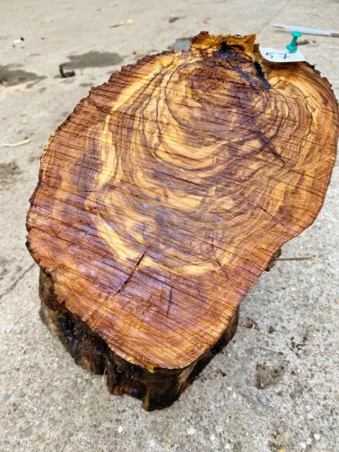 Olivenholz, Olive, Holz zum Basteln, Schnitzen, Drechseln, 6,9 kg, 
