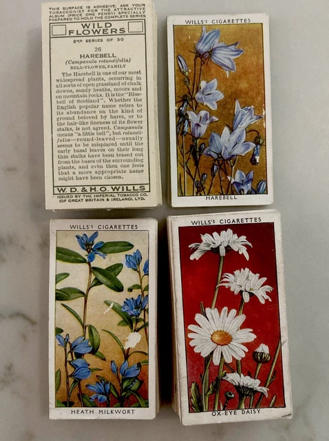 what are jps evolve cigarettes Imperial Brands – our brands