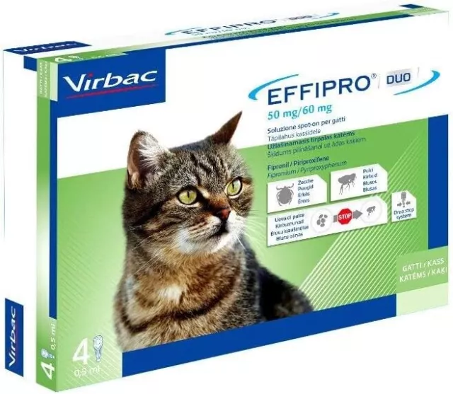 Effipro'Duo Chat 4 Pipettes Spot-on Anti parasitaire