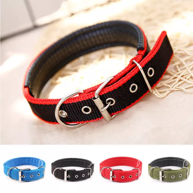 Collier Pour Chien Anneau De Cou Pour Animal De Compagnie Sangle De Cou Pour *