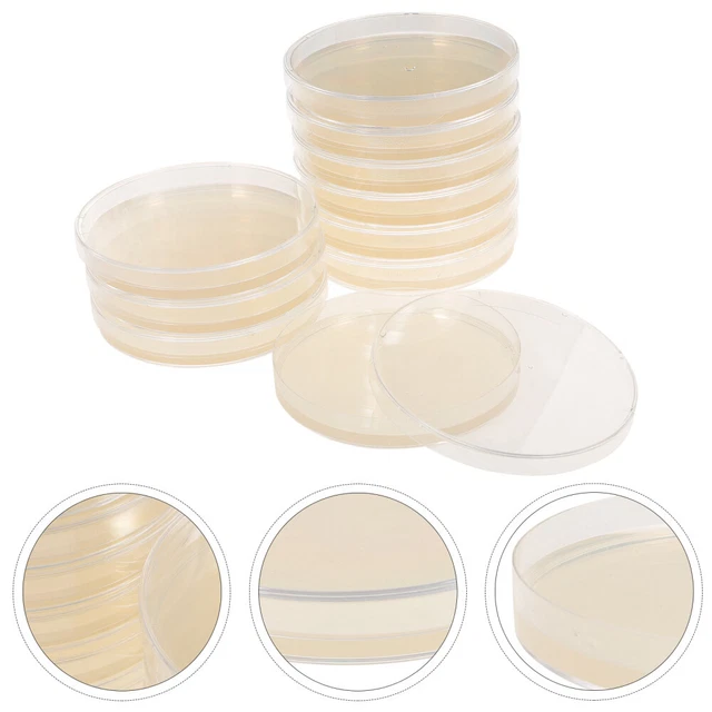 CHILD NUTRIENT AGAR Plate Agar Petri Dishes Mushrooms Petri Plates for