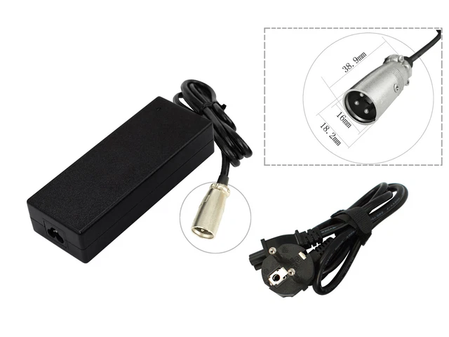 Caricabatterie VENTILATO per batteria e-bike – per 48 V, spina 3-Pin, 3A - NTL Nuova Tecnologia