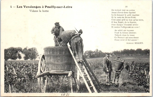 58 POUILLY SUR LOIRE - les vendanges - vidons la hotte