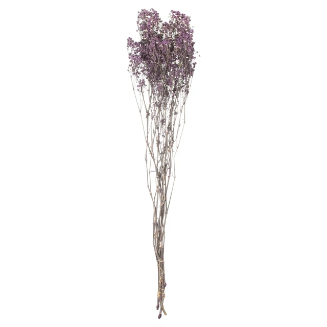 Hill Interiors  Planta Deshidratada Gypsophila (HI4173)