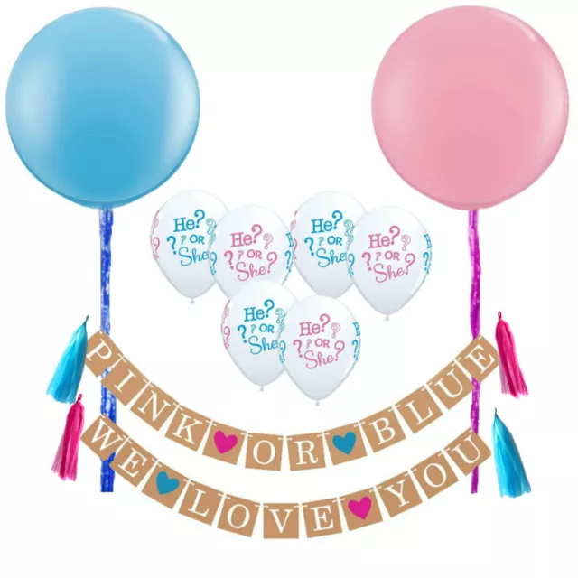 Gender Reveal Baby Shower Party Decorations, Boy or Girl Unisex Banner,He or She