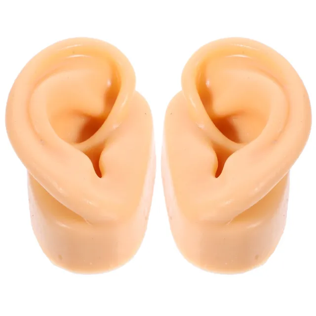 Falsches Menschliches Ohr Künstliches Ohrmodell Ohrringe Körper
