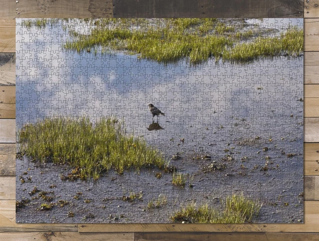1000 piece puzzle for adults: Bird Nature Landscape