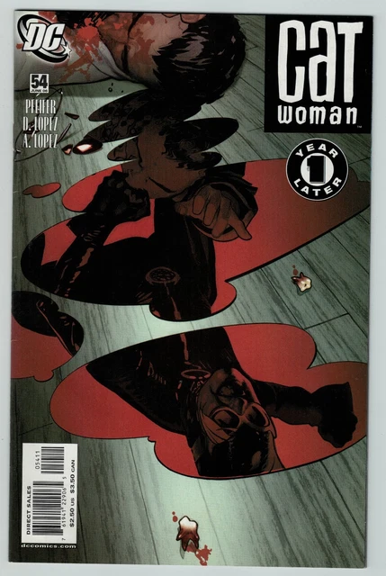 Catwoman 54 Adam Hughes cover DC Comics 2006 FN++