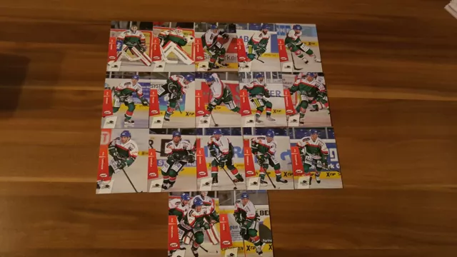 DEL 14-15 2014-2015 Premium 1 Teamset Augsburger Panther AEV 17 Karten