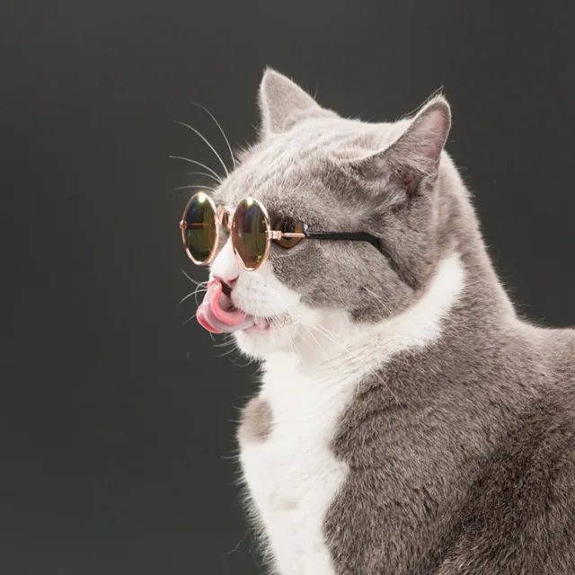 Occhiali da sole moda cane gatto occhiali da sole accessori occhiali da sole (colore casuale)
