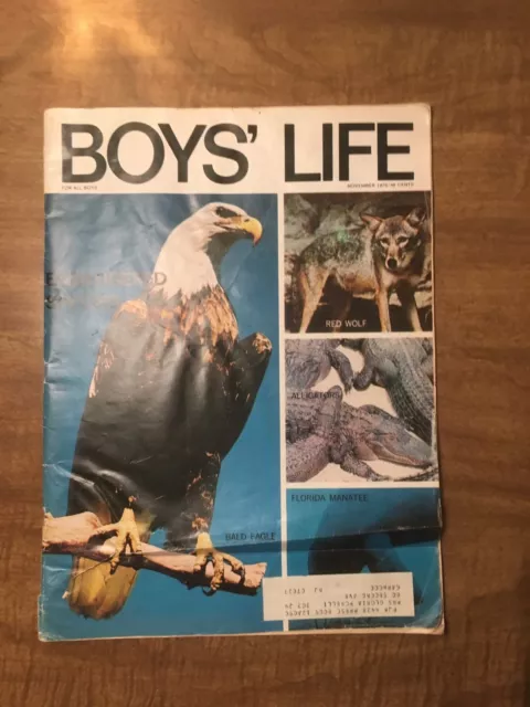 Boy's Life Magazine 1970 november ENDANGERED SPECIES: BALD EAGLE, RED WOLF