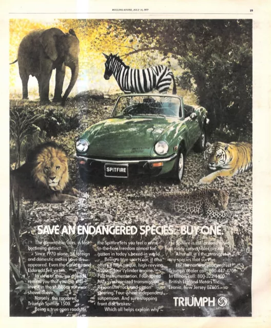 Rst20 Picture/Advert 13X11 British Leyland Triumph Spitfire