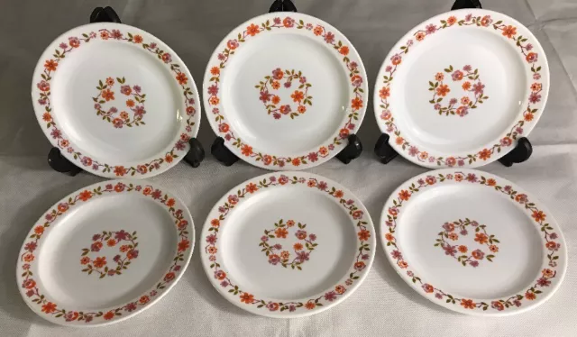 Lot 92 De 6 Petites Assiettes Arcopal Vintage France D 18,5 Cm Fleurs Oranges