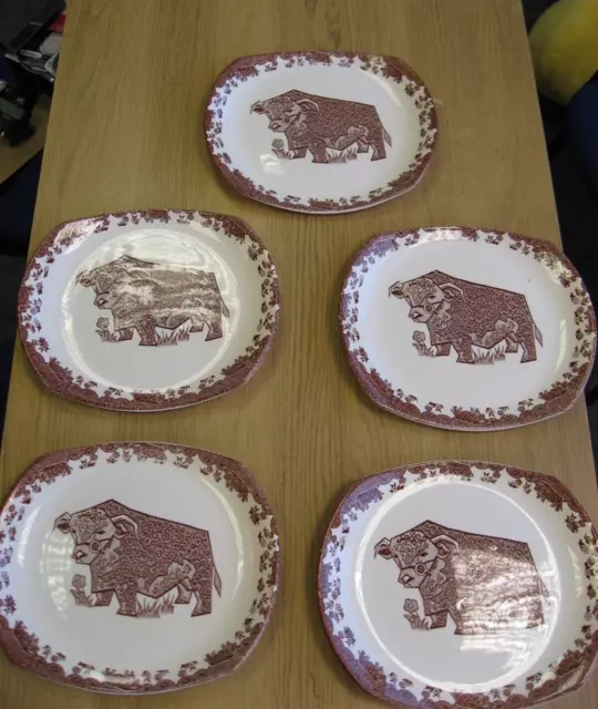 5x vintage English Ironstone tableware ltd steak plates