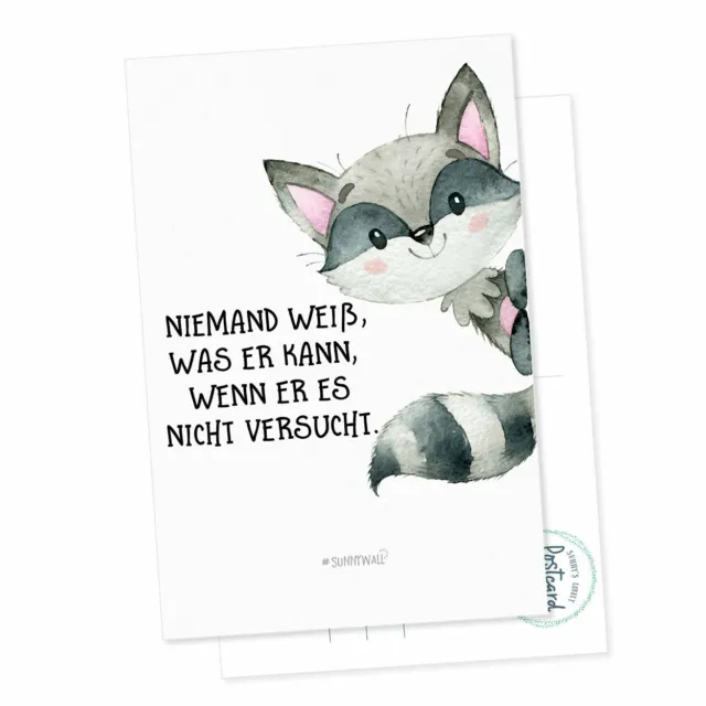 Postkarte Waschbär - Niemand weiß, was er kann, wenn er es nicht versucht 1 ...