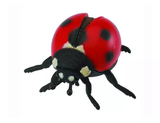 CollectA Insects Ladybug Toy Figurine #88474
